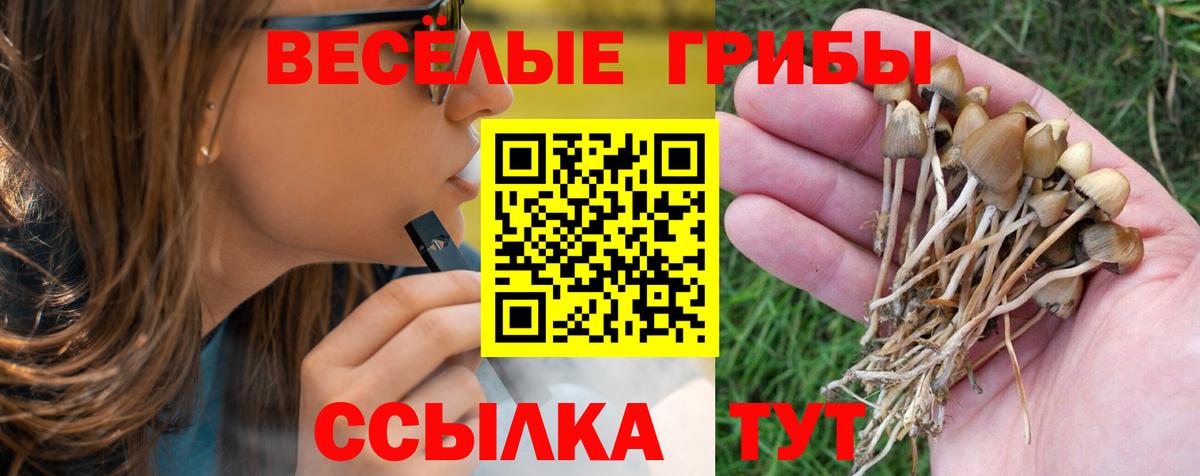 Галлюциногенные грибы мицелий  Вход с VPN  Изобильный  Галлюциногенные грибы прущие грибы 